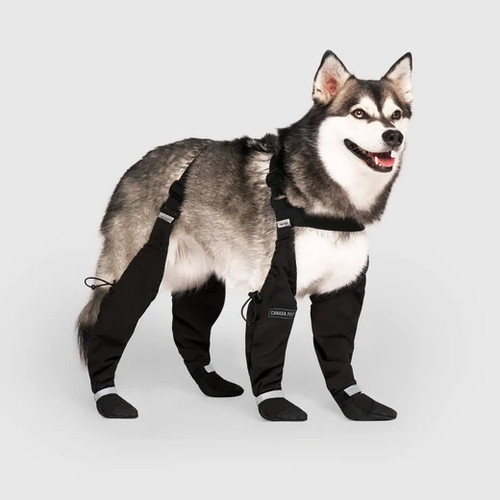Nwt canada pooch - pooch, suspender