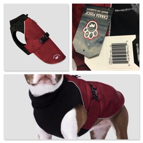 Canada pooch expedition - canada, pooch-expedition